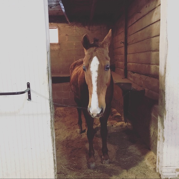 Not to buy - Picture 2 of 2